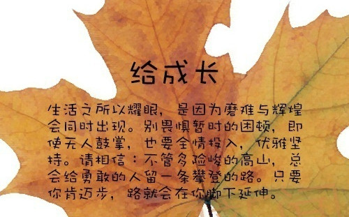 10-1FZ5092644-50.jpg 10-1FZ5092644-50.jpg